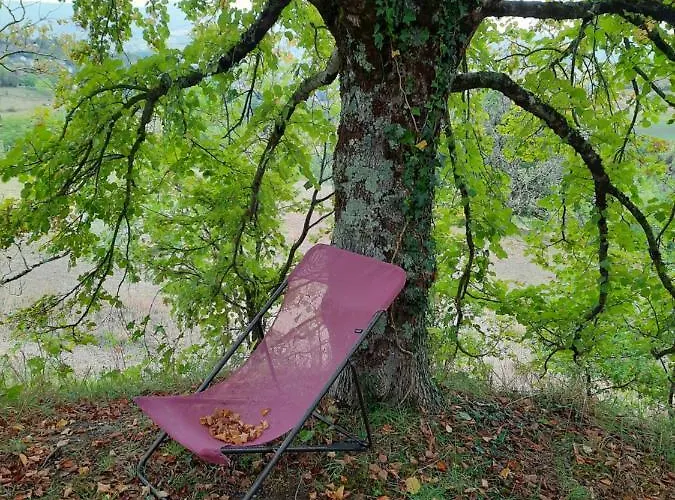 Les Coteaux De Planeze, Maison Et Jardin Dans Le Lot! Chez L'habitant! ホームステイ *