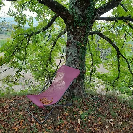 Les Coteaux De Planeze, Maison Et Jardin Dans Le Lot! Chez L'habitant! בית אירוח *