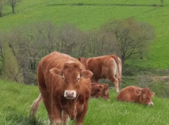 Les Coteaux De Planeze, Maison Et Jardin Dans Le Lot! Chez L'habitant!